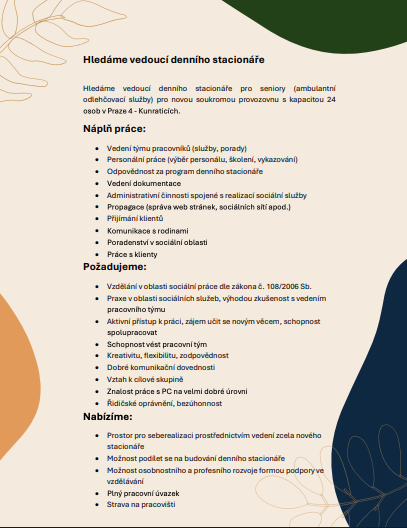 Vedoucí denního stacionáře